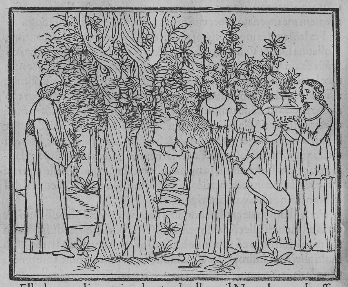 La Grande Danse Macabre, Published by Pierre St. Lucie  , Lyon