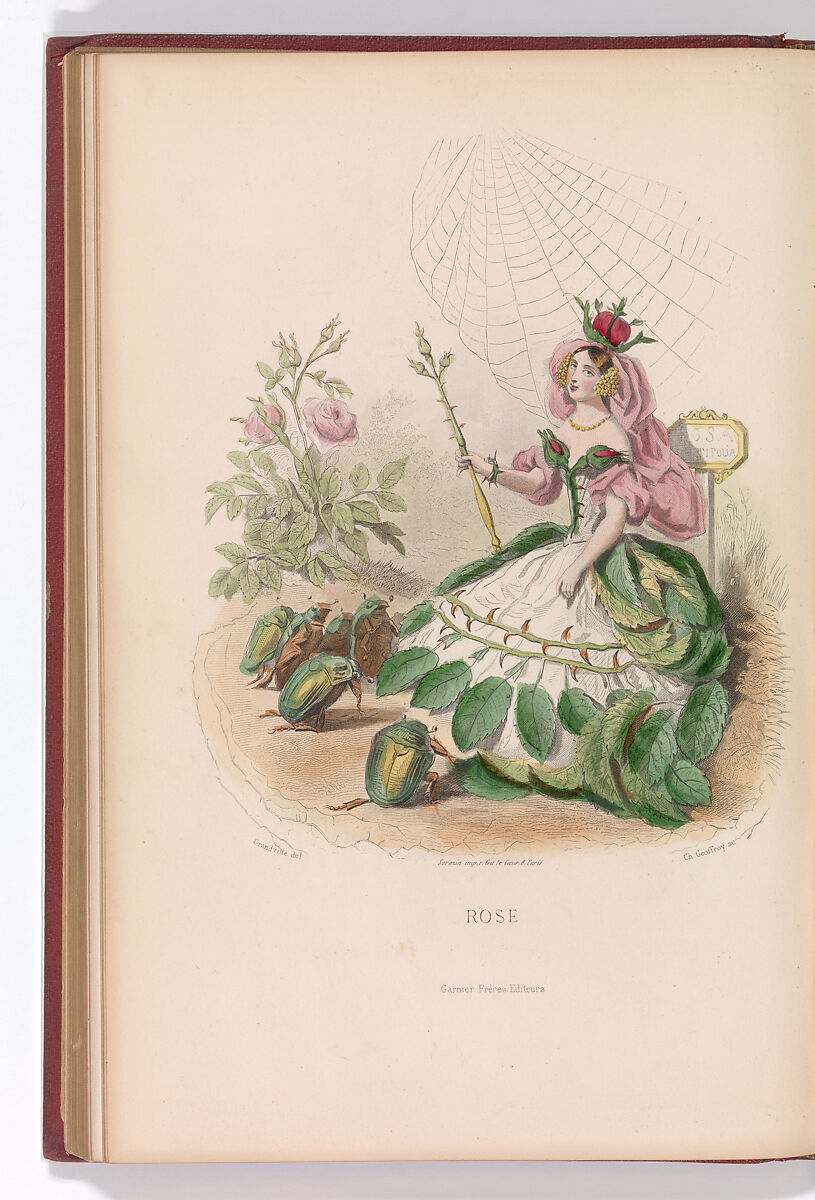 Les Fleurs Animées, Taxile Delord  French, Wood engravings, hand-colored