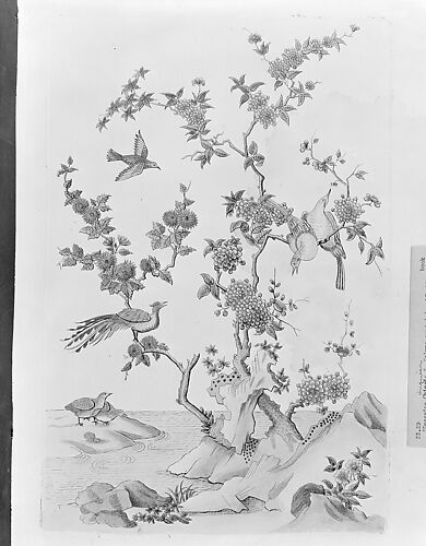 [Book of different species of birds, flowers, plants, and trophies of China]