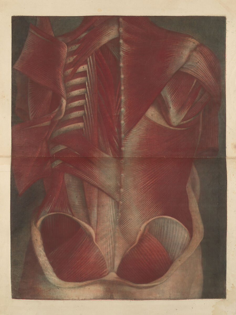 Myologie Complette en Couleur et Grandeur Naturelle, Joseph Guichard Duverney (French, 1648–1730), Illustrations: color mezzotints