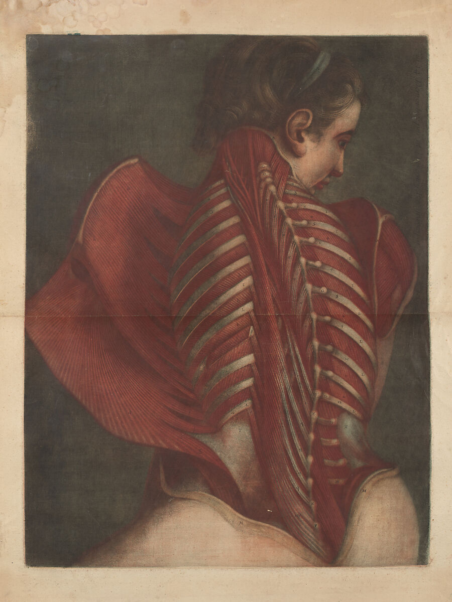 Myologie Complette en Couleur et Grandeur Naturelle, Joseph Guichard Duverney  French, Illustrations: color mezzotints