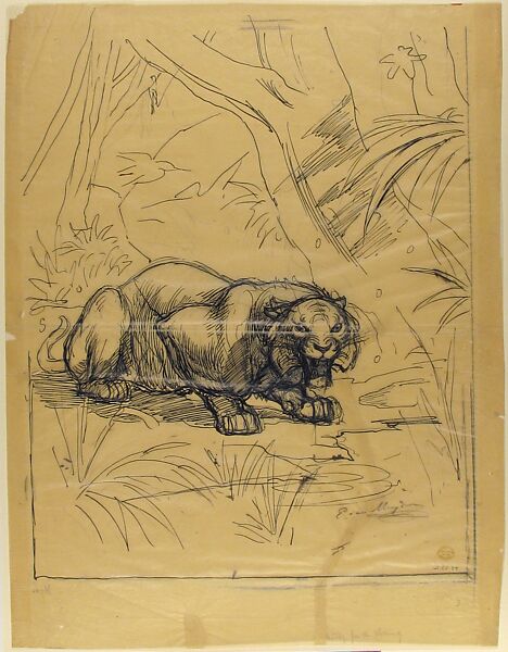 Crouching Tiger, Evert Louis van Muyden (Swiss, Albano Laziale 1853–1922 Orsay), Pen and black ink, black chalk, on wax paper