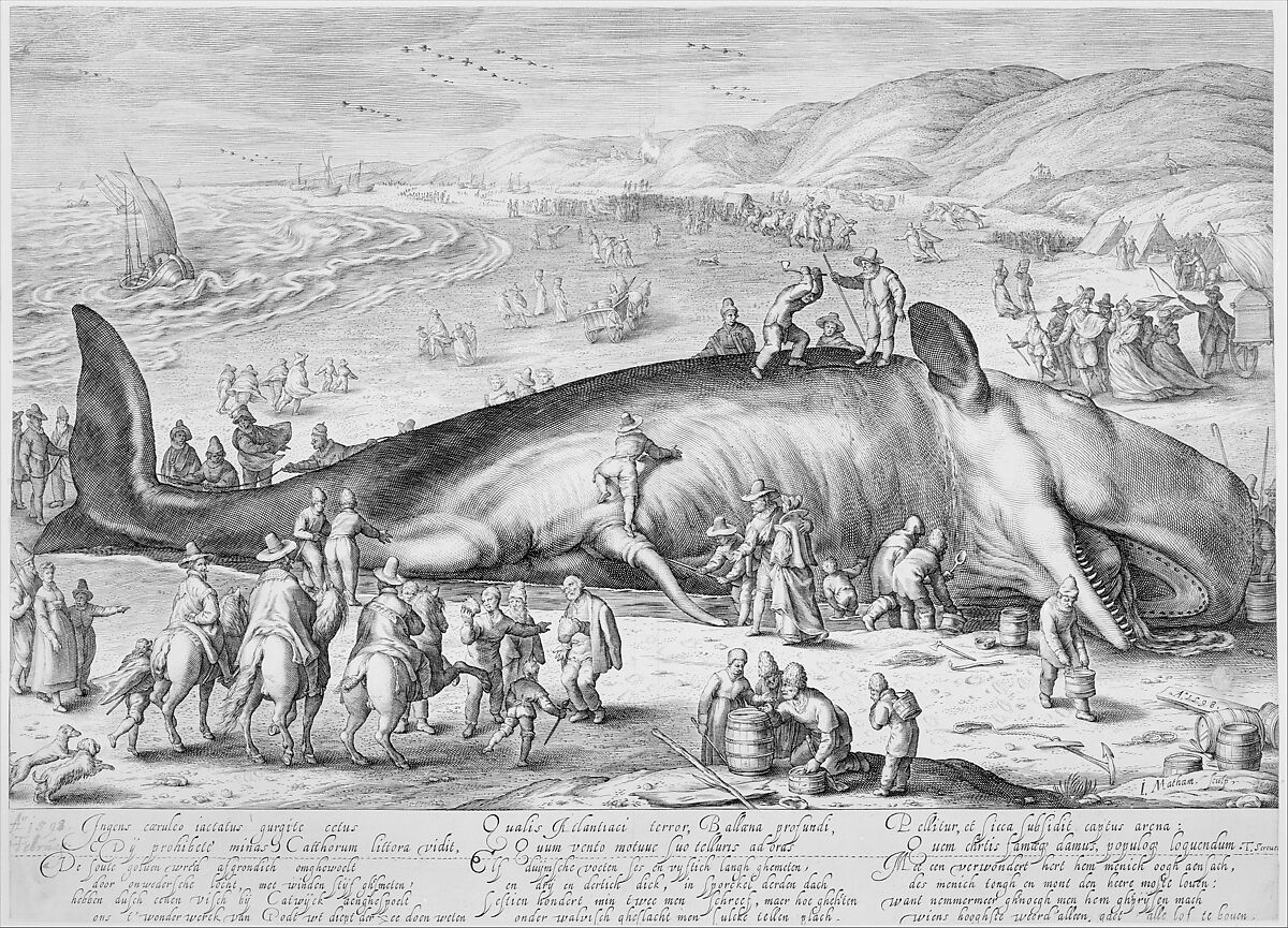 Beached Whale, Jacob Matham (Netherlandish, Haarlem 1571–1631 Haarlem), Engraving 