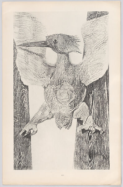 Designed By Max Ernst Histoire Naturelle The Met