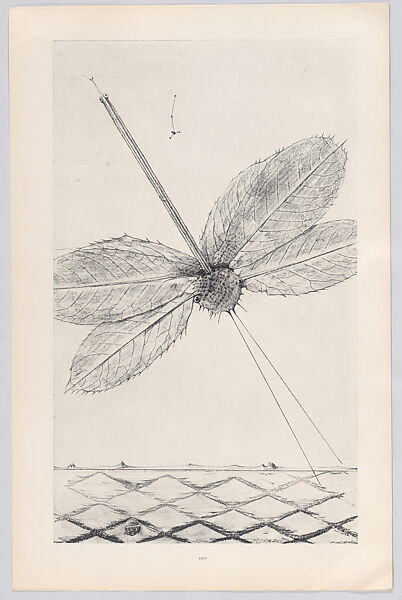Histoire Naturelle, Designed by Max Ernst (French (born Germany), Brühl 1891–1976 Paris)