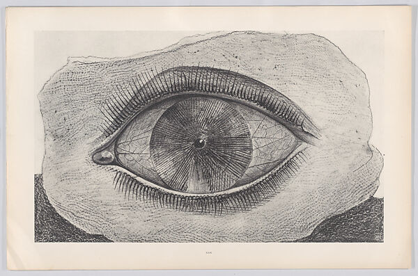 Histoire Naturelle, Designed by Max Ernst (French (born Germany), Brühl 1891–1976 Paris)