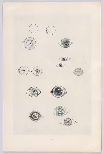 Histoire Naturelle, Designed by Max Ernst (French (born Germany), Brühl 1891–1976 Paris)