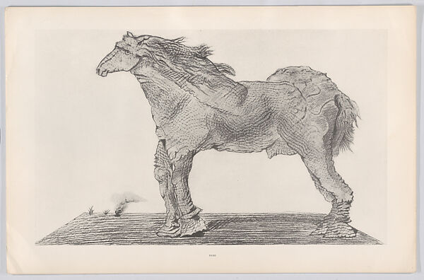 Histoire Naturelle, Designed by Max Ernst (French (born Germany), Brühl 1891–1976 Paris)