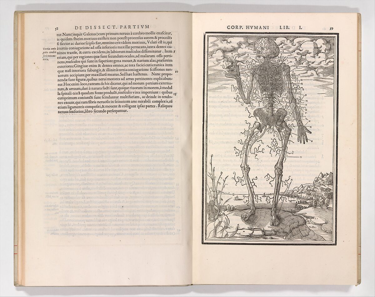 De dissectione partium corporis humani libri tres, Charles Estienne (French, Paris ca. 1504–1564 Paris), Woodcut
