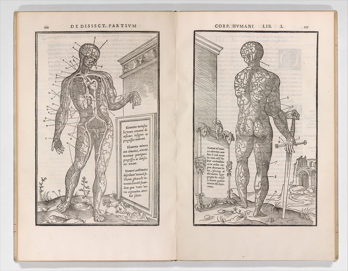 De dissectione partium corporis humani libri tres, Charles Estienne (French, Paris ca. 1504–1564 Paris), Woodcut