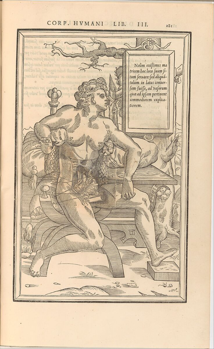 De dissectione partium corporis humani libri tres, Charles Estienne (French, Paris ca. 1504–1564 Paris), Woodcut