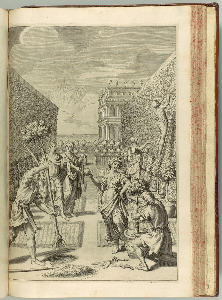 Hesperides sive de Malorum Aureorum cultura et usu. Libri Quatuor