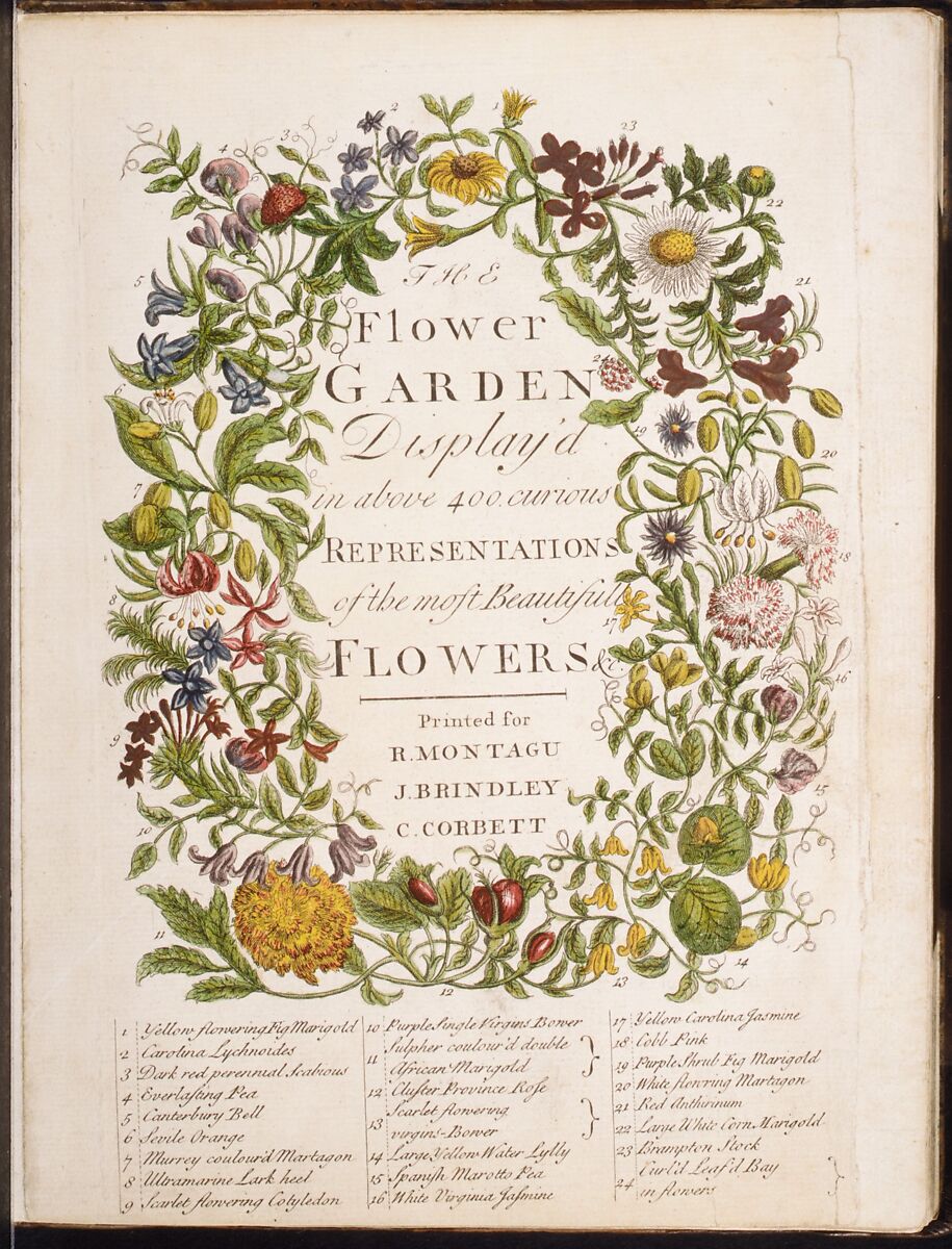 The Flower-Garden Display'd, In Above Four Hundred Curious Representations Of the Most Beautiful Flowers; Regularly Dispos'd in the Respective Months of Their Bloom, Richard Bradley (British, 1688–1732), Illustrations: hand-colored etching and engraving 