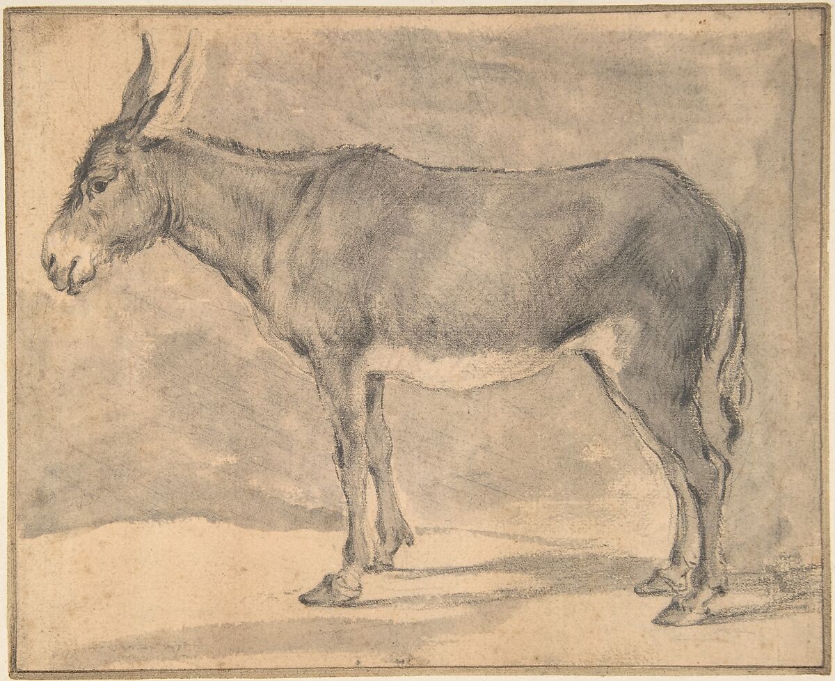 Donkey, Pieter Jacobsz. van Laer (Dutch, Haarlem ca. 1592/95–1642 (?) Haarlem), Black chalk and gray wash. Ruled border in pen and brown ink. Laid down. 