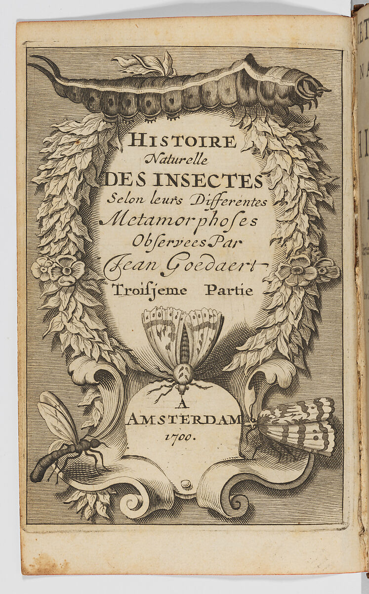 Métamorphoses naturelles ou histoire des Insectes, 3 volumes, Johannes Goedaert (Dutch, Middelburg 1617–1668 Middelburg), Hand-colored etching and engraving