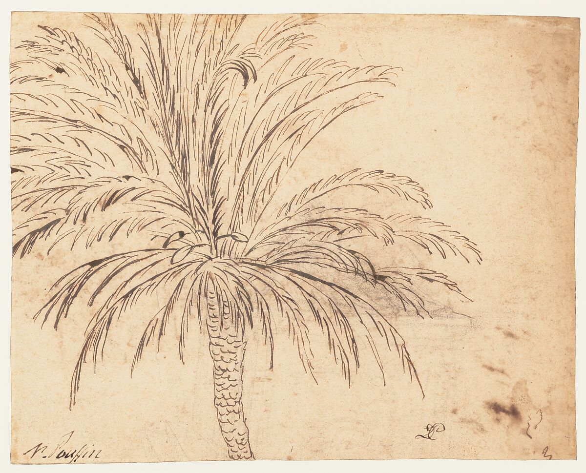 Study of a Palm Tree (recto); Mountain Landscape (verso), Nicolas Poussin (French, Les Andelys 1594–1665 Rome), Pen and brown ink, over traces of black chalk (recto); pen and brown ink (verso)