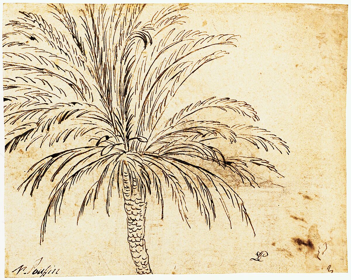 Study of a Palm Tree (recto); Mountain Landscape (verso), Nicolas Poussin (French, Les Andelys 1594–1665 Rome), Pen and brown ink, over traces of black chalk (recto); pen and brown ink (verso)
