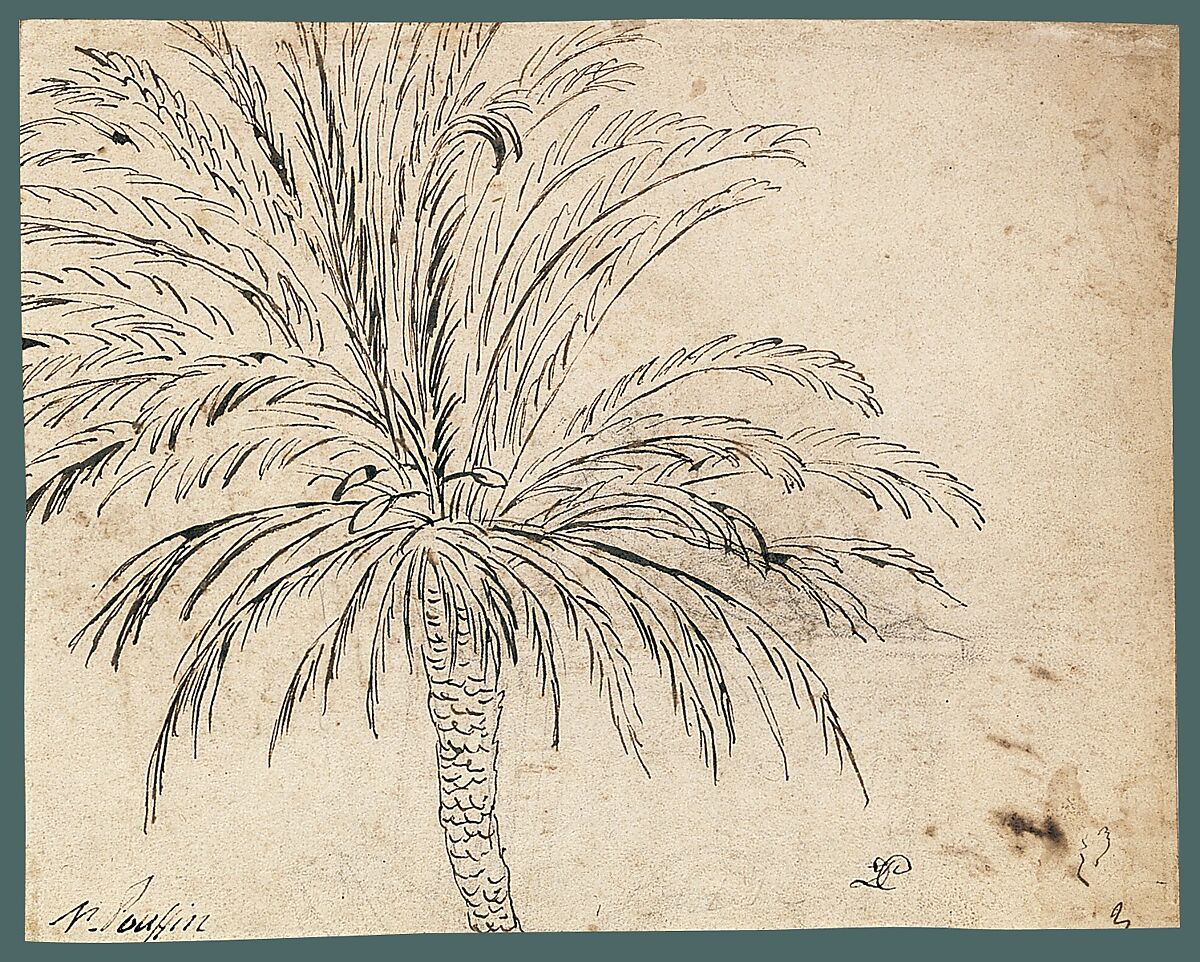 Study of a Palm Tree (recto); Mountain Landscape (verso), Nicolas Poussin (French, Les Andelys 1594–1665 Rome), Pen and brown ink, over traces of black chalk (recto); pen and brown ink (verso)