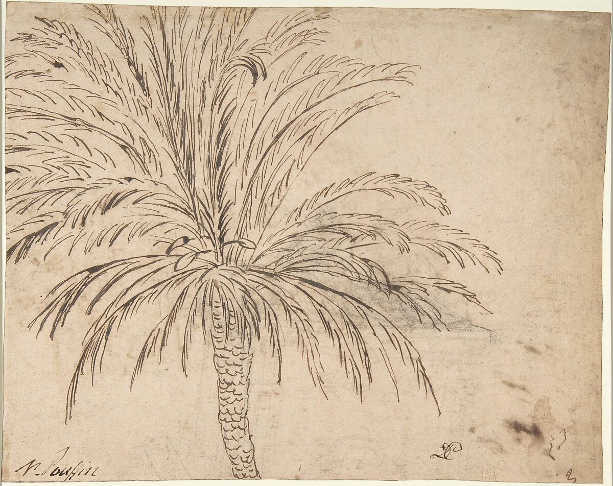 Study of a Palm Tree (recto); Mountain Landscape (verso), Nicolas Poussin (French, Les Andelys 1594–1665 Rome), Pen and brown ink, over traces of black chalk (recto); pen and brown ink (verso) 