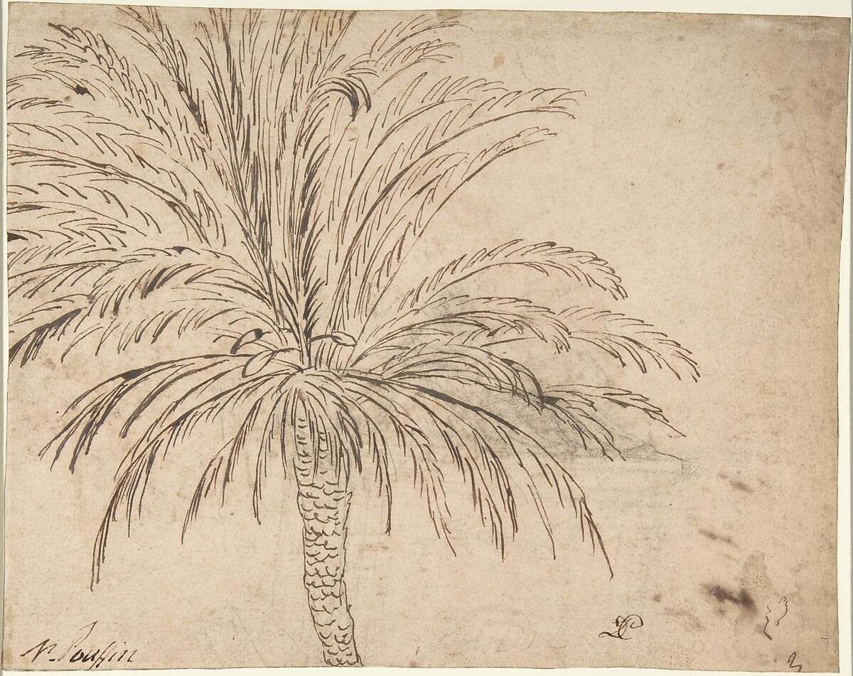 Study of a Palm Tree (recto); Mountain Landscape (verso), Nicolas Poussin  French, Pen and brown ink, over traces of black chalk (recto); pen and brown ink (verso)