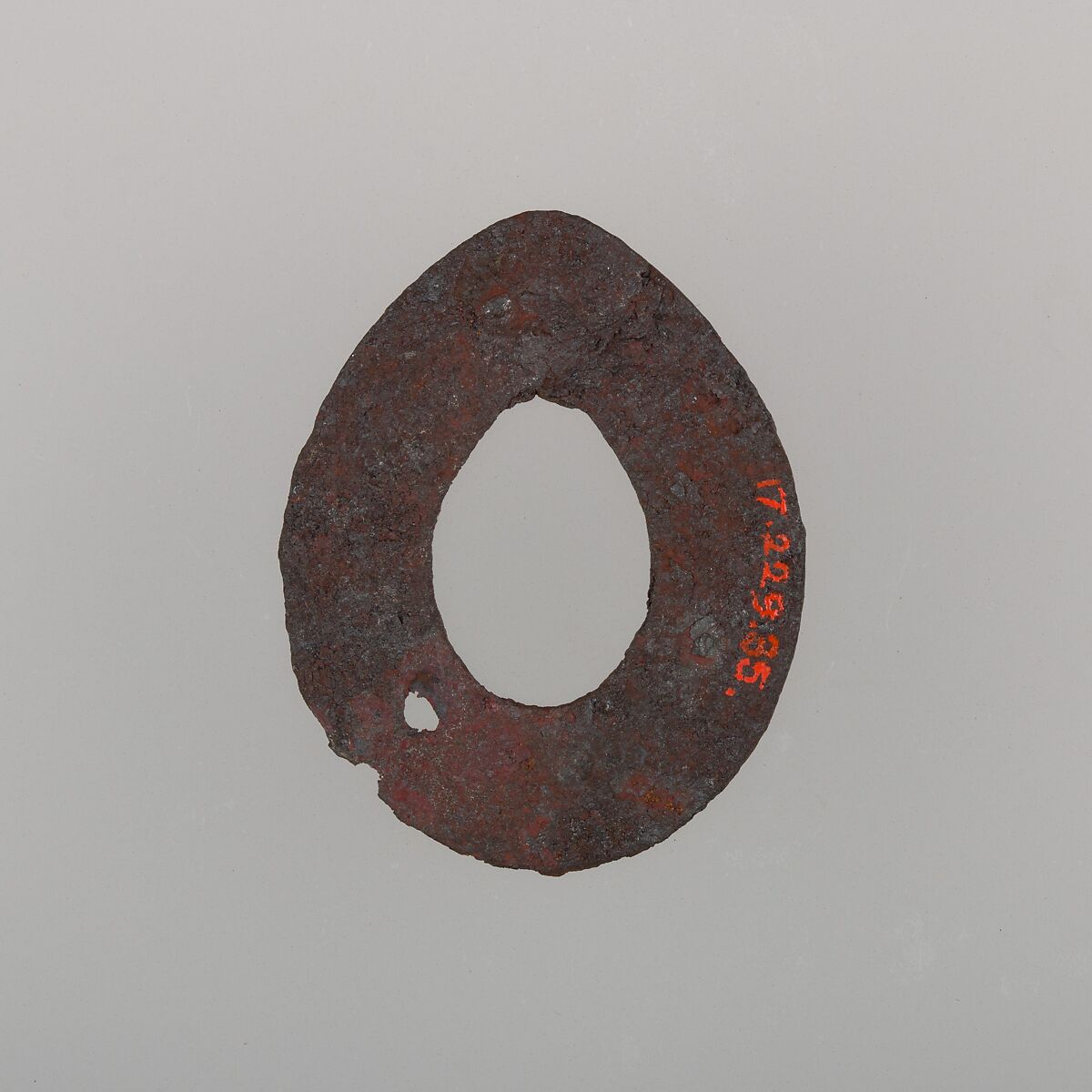 Sword Guard (Tsuba), Iron, Japanese