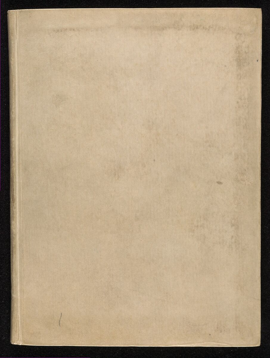 New Modelbüch allen Nägerin u. Sydenstickern, Hans Hoffman (German, active Strasbourg, 1556), Woodcut