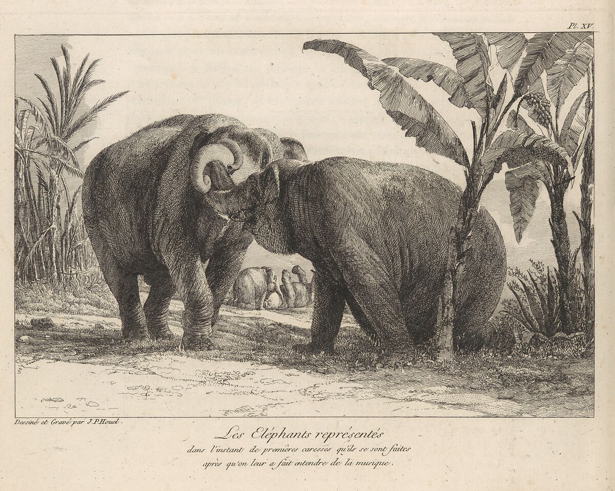 Histoire Naturelle Des Deux Éléphans...du Muséum De Paris, Jean Pierre Louis Laurent Hoüel (French, Rouen 1735–1813 Paris), Etching and engraving 