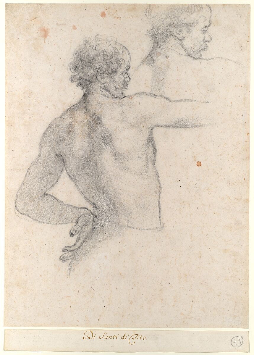 Two Studies of a Man, Santi di Tito (Italian, Sansepolcro 1536–1603 Florence), Black chalk (recto); rulings in red chalk and black chalk by early collector (verso)