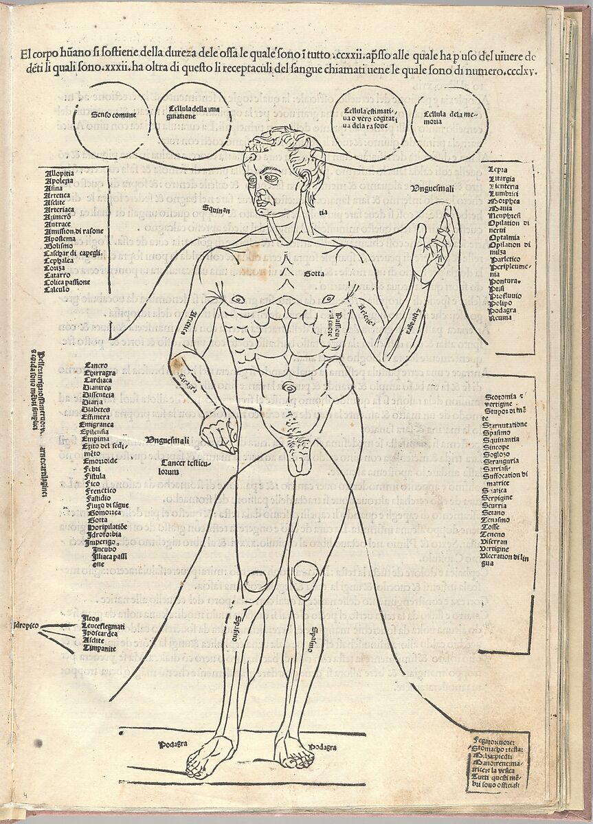 Fasciculo di medicina, Possibly Johannes de Ketham (German, active 15th century), Woodcut