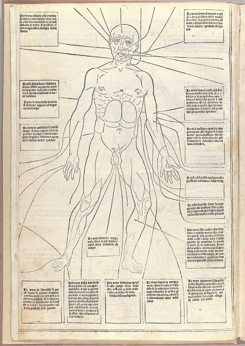 Fasciculo di medicina, Possibly Johannes de Ketham (German, active 15th century), Woodcut
