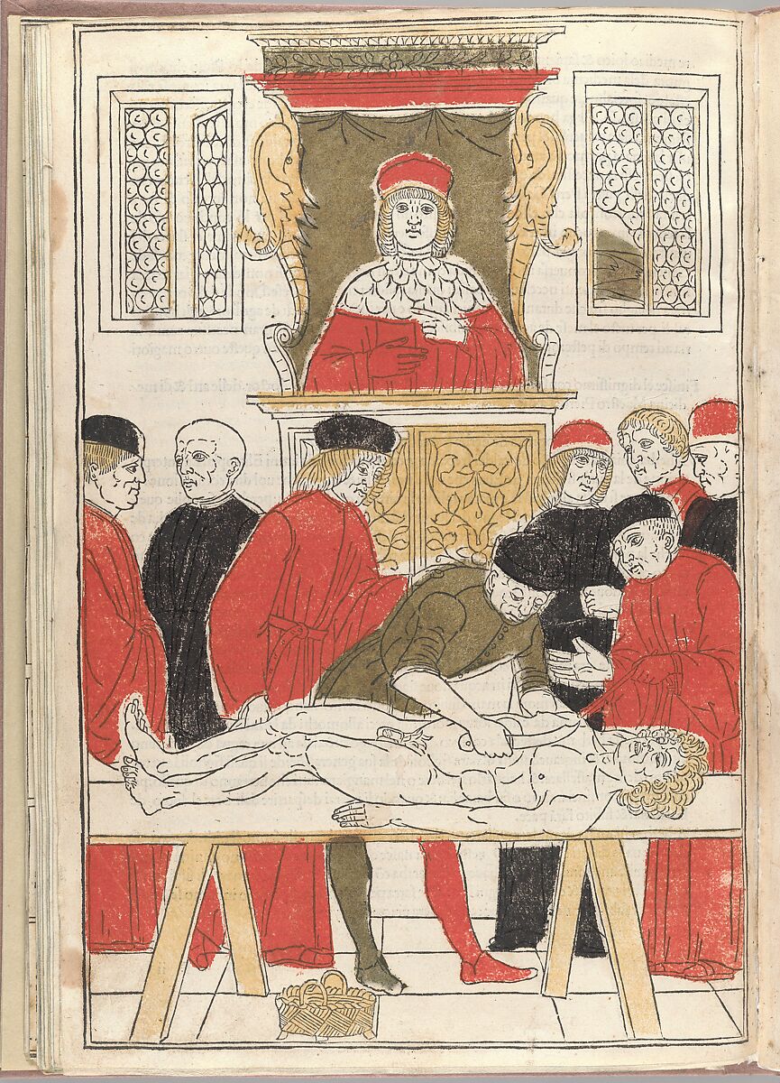 Fasciculo di medicina, Possibly Johannes de Ketham (German, active 15th century), Woodcut