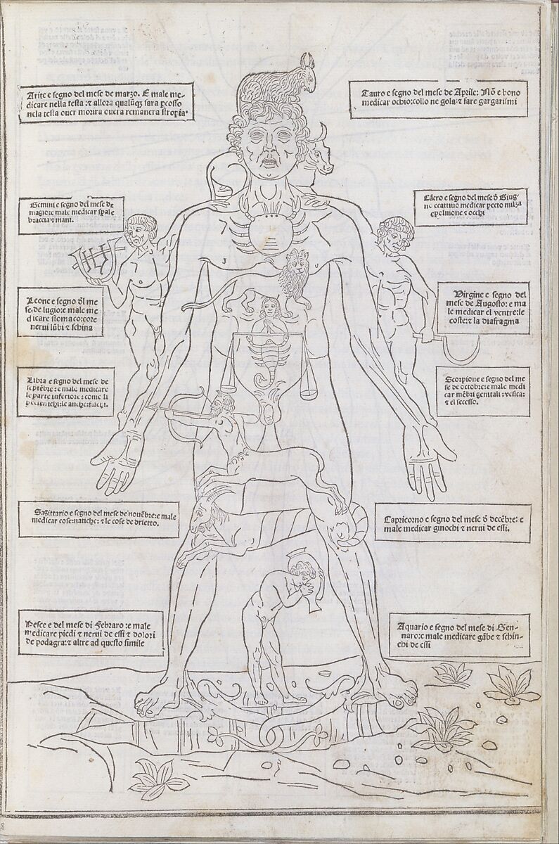 Fasciculo di medicina, Possibly Johannes de Ketham (German, active 15th century), Woodcut