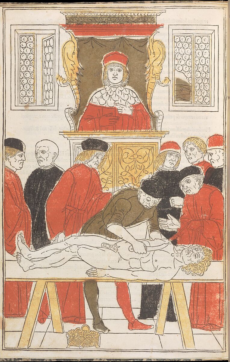 Fasciculo di medicina, Possibly Johannes de Ketham (German, active 15th century), Woodcut