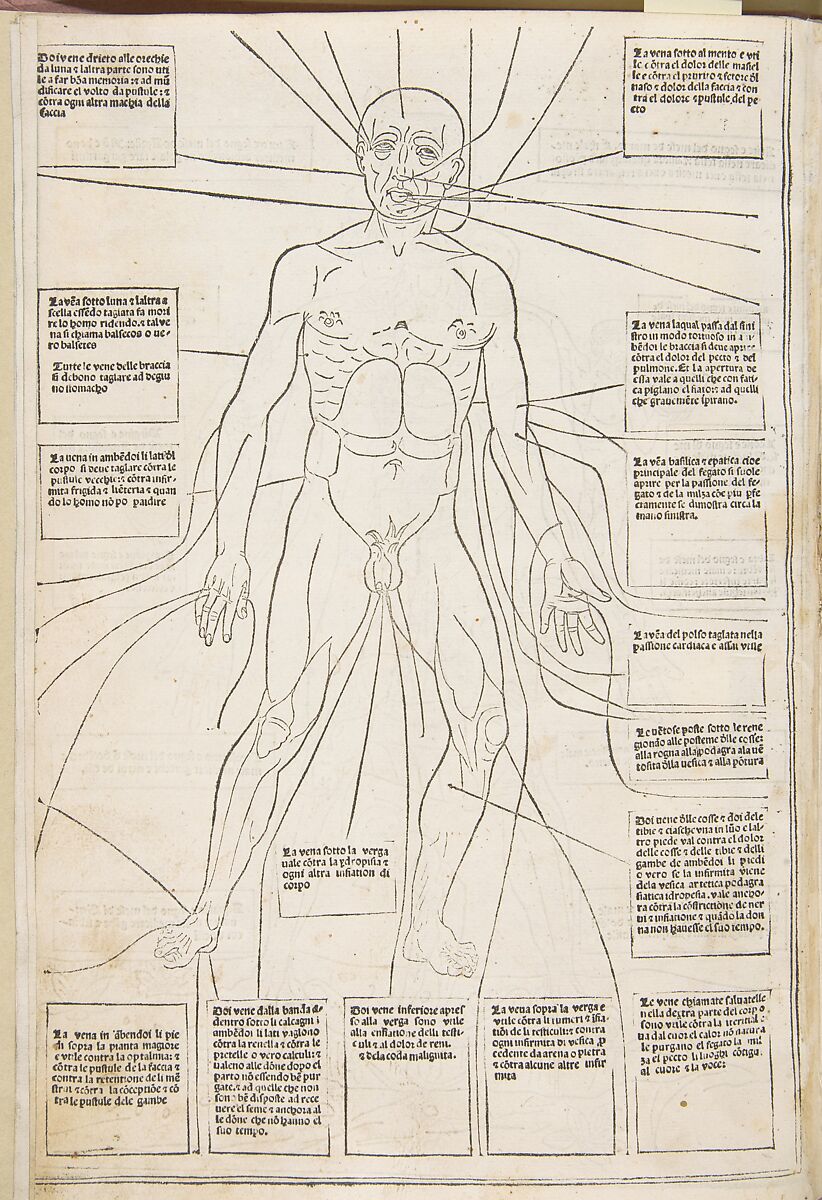 Fasciculo di medicina, Possibly Johannes de Ketham (German, active 15th century), Woodcut