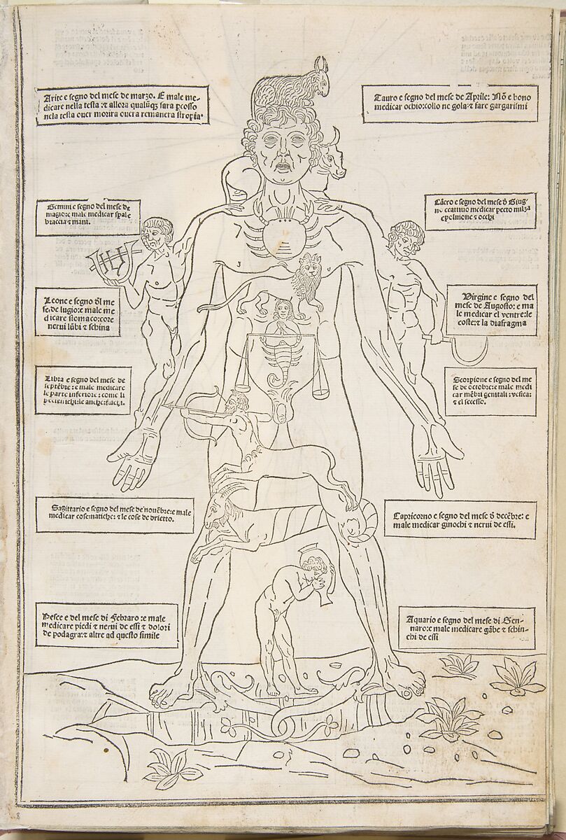 Fasciculo di medicina, Possibly Johannes de Ketham (German, active 15th century), Woodcut