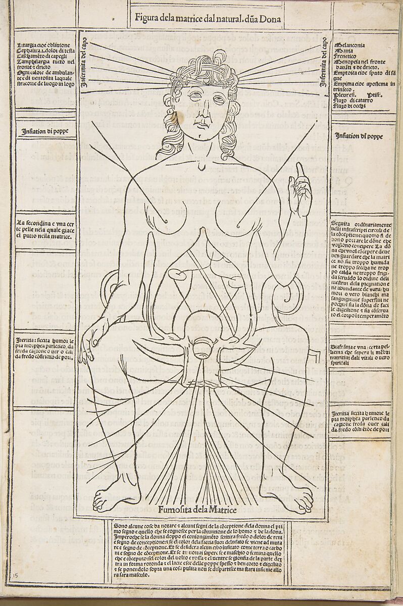 Fasciculo di medicina, Possibly Johannes de Ketham (German, active 15th century), Woodcut