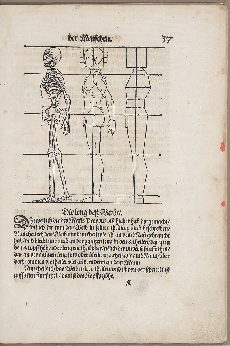 Des Circkels unnd Richtscheyts, auch der Perspectiva und Proportion der Menschen und Rosse, kurtze, doch gründtliche underweisung deß rechten gebrauchs, Heinrich Lautensack, Woodcuts 