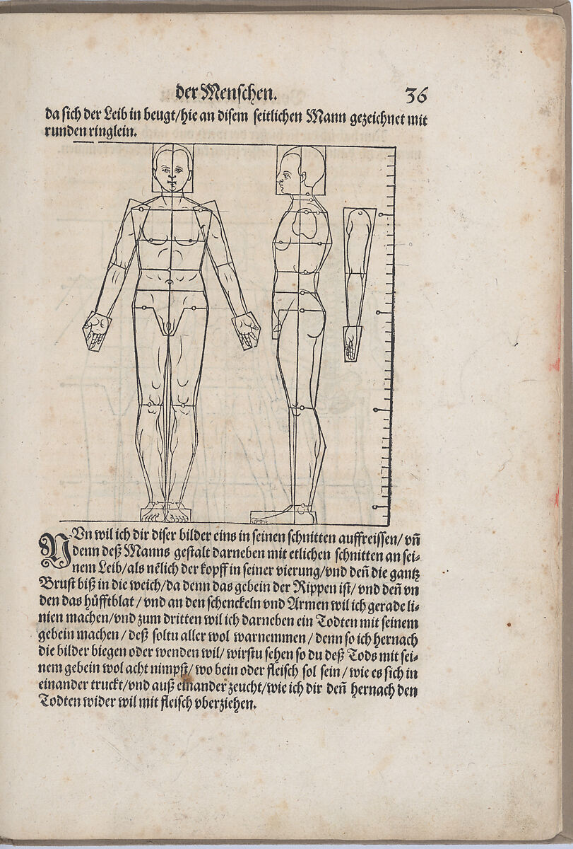 Des Circkels unnd Richtscheyts, auch der Perspectiva und Proportion der Menschen und Rosse, kurtze, doch gründtliche underweisung deß rechten gebrauchs, Heinrich Lautensack, Woodcut