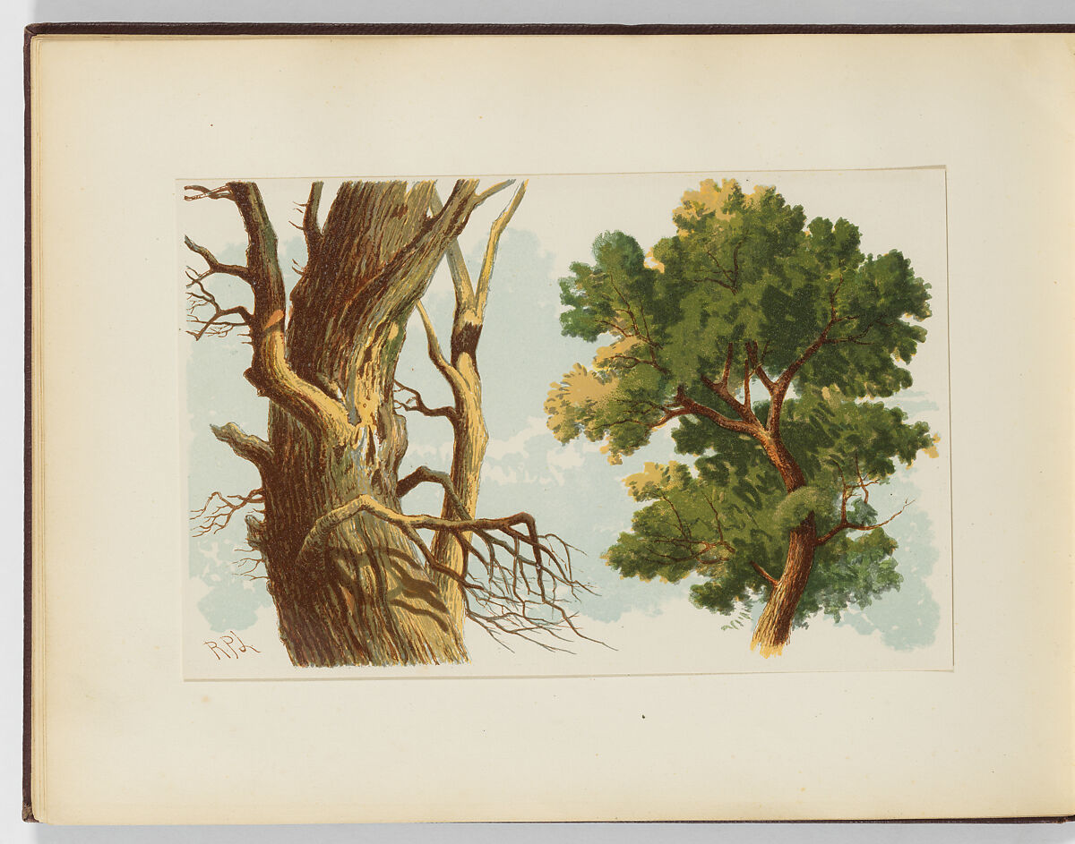 A Course of Water-Colour Painting with Twenty-Four Coloured Plates from Designs by R. P. Leitch, Richard Principal Leitch (British, 1826–1882), Illustrations: color lithographs 