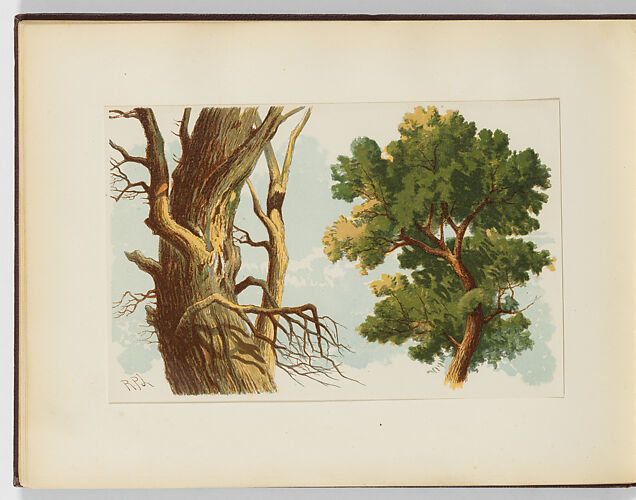 A Course of Water-Colour Painting with Twenty-Four Coloured Plates from Designs by R. P. Leitch