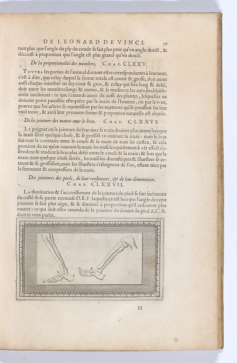 Traitté de la Peinture, Written by Leonardo da Vinci (Italian, Vinci 1452–1519 Amboise), Printed book