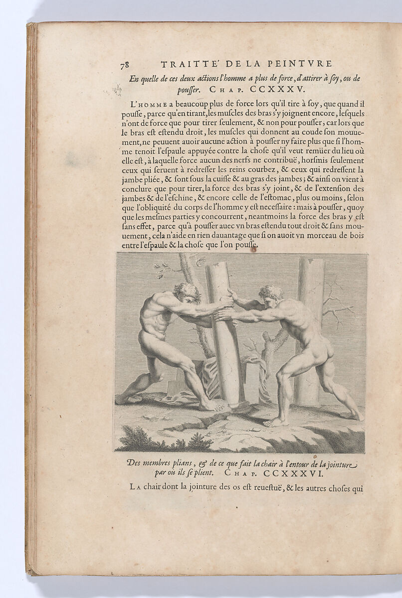 Traitté de la Peinture, Written by Leonardo da Vinci (Italian, Vinci 1452–1519 Amboise), Printed book