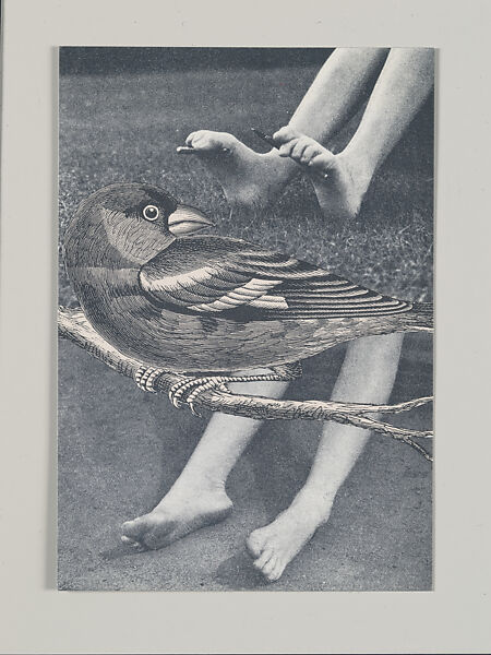 S.M.S. No. 2, April 1968, Published by Letter Edged in Black Press Inc.