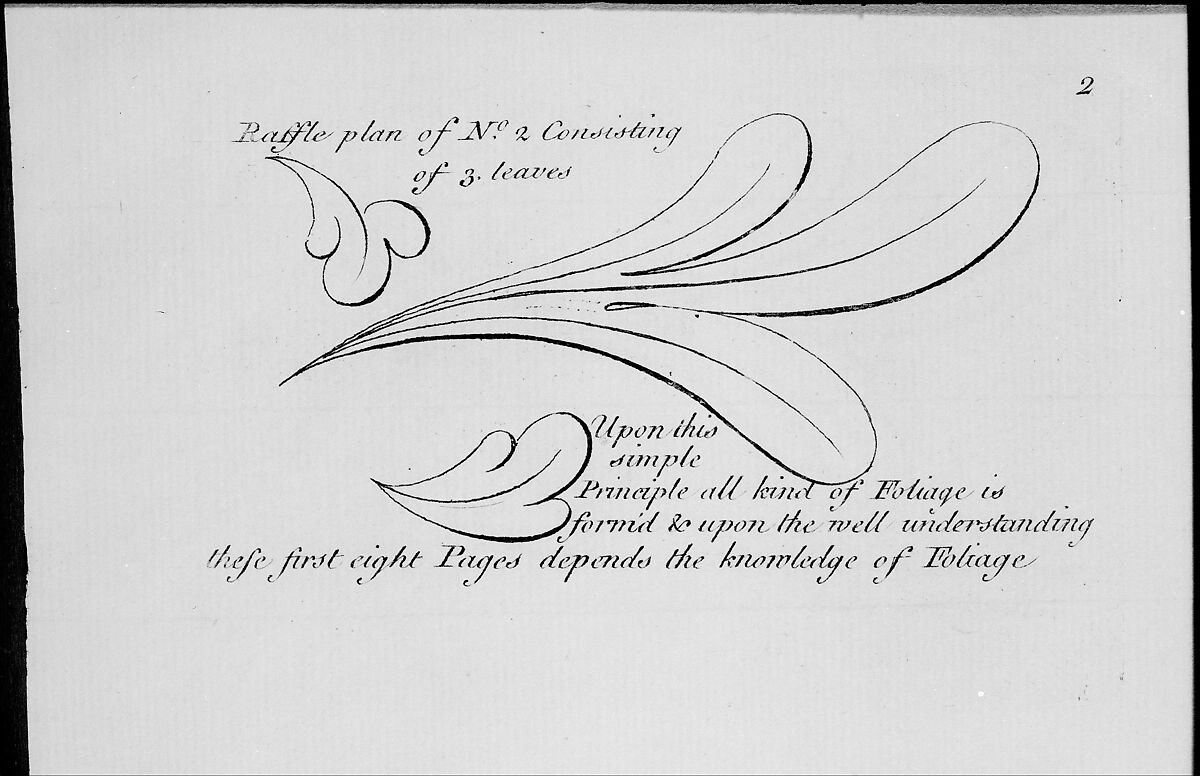 The Principles of Ornament, or the Youth's Guide to the Drawing of Foliage, Matthias Lock  British, Illustrations: etching and engraving