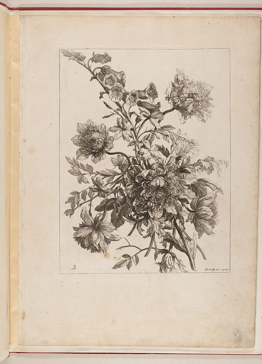 Livre de Toutes Sortes De Fleurs D'apres Nature, Designed by Jean-Baptiste Monnoyer (French, Lille 1636–1699 London), Engraving
