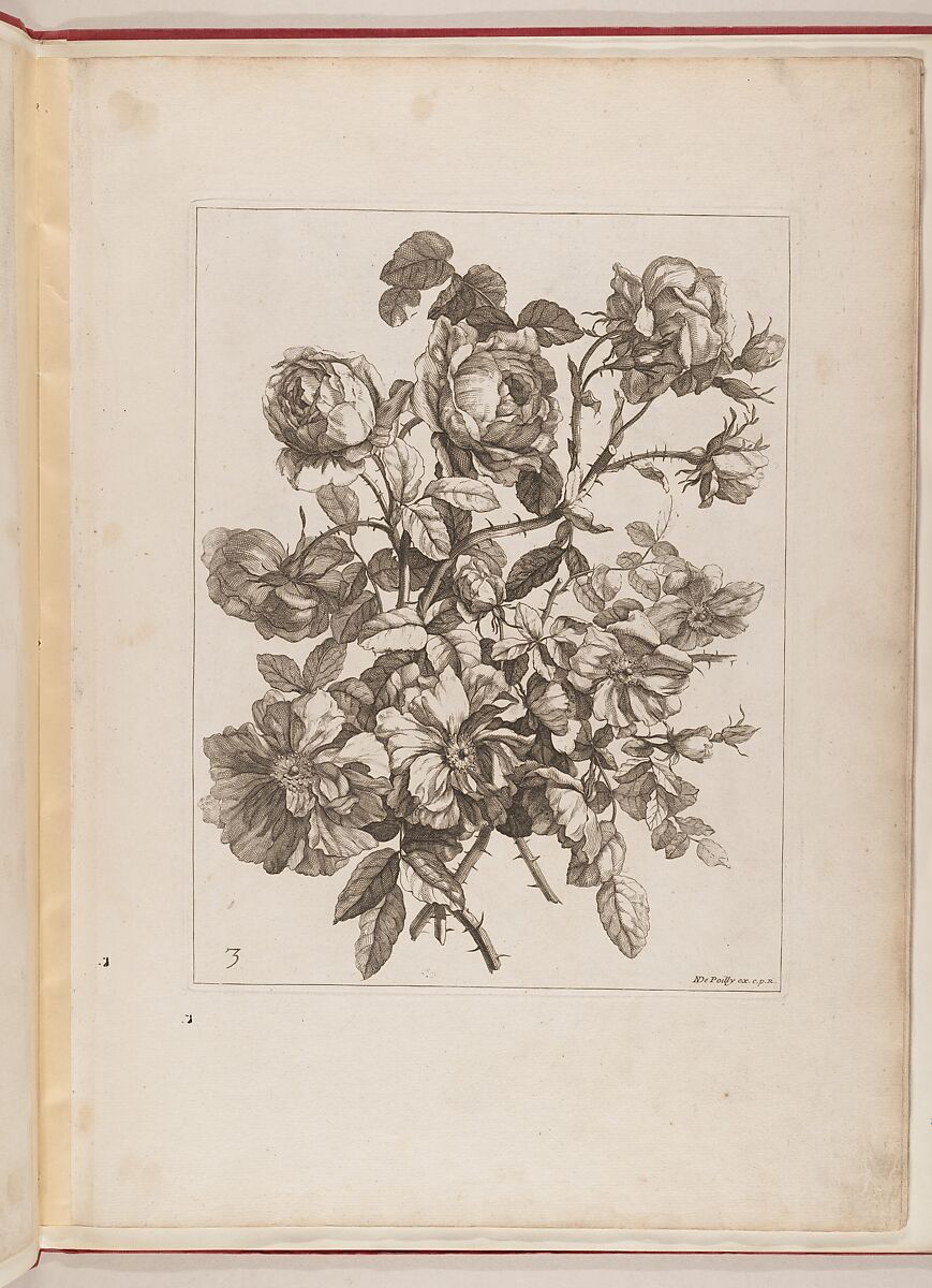 Livre de Toutes Sortes De Fleurs D'apres Nature, Designed by Jean-Baptiste Monnoyer (French, Lille 1636–1699 London), Engraving