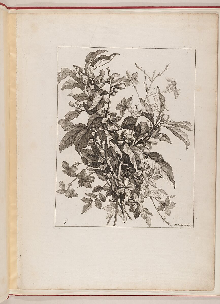 Livre de Toutes Sortes De Fleurs D'apres Nature, Designed by Jean-Baptiste Monnoyer (French, Lille 1636–1699 London), Engraving