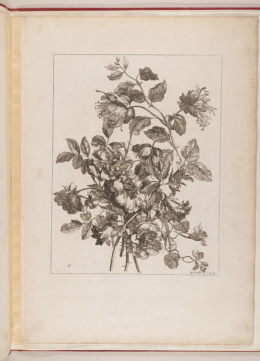 Livre de Toutes Sortes De Fleurs D'apres Nature, Designed by Jean-Baptiste Monnoyer (French, Lille 1636–1699 London), Engraving