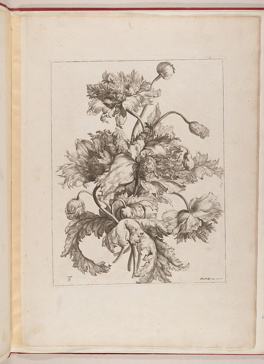 Livre de Toutes Sortes De Fleurs D'apres Nature, Designed by Jean-Baptiste Monnoyer (French, Lille 1636–1699 London), Engraving