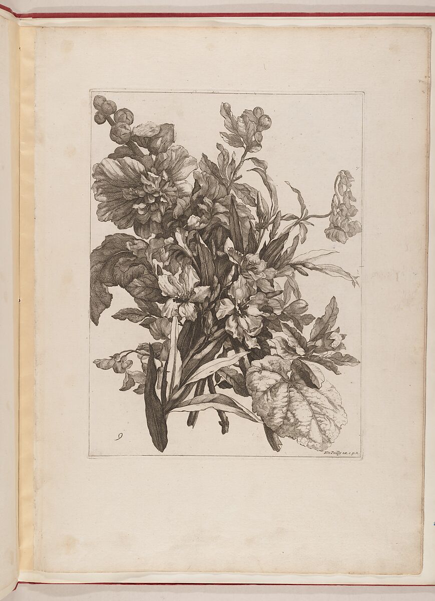 Livre de Toutes Sortes De Fleurs D'apres Nature, Designed by Jean-Baptiste Monnoyer (French, Lille 1636–1699 London), Engraving